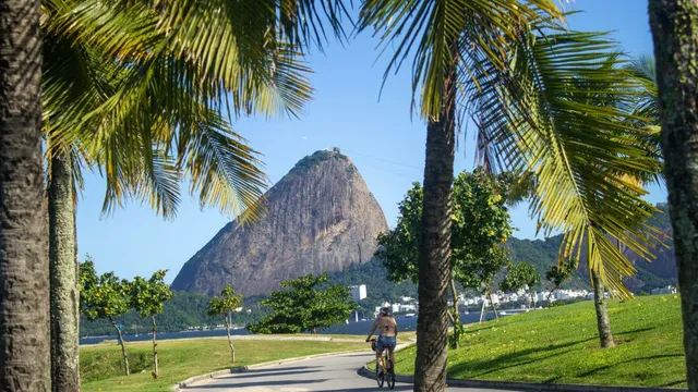 El Pan de Azúcar entre palmeras, en Río