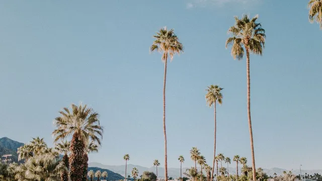 Gay resort in Palm Springs